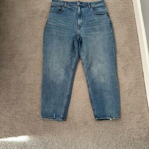 Abercrombie & Fitch The Mom High Rise Jeans
